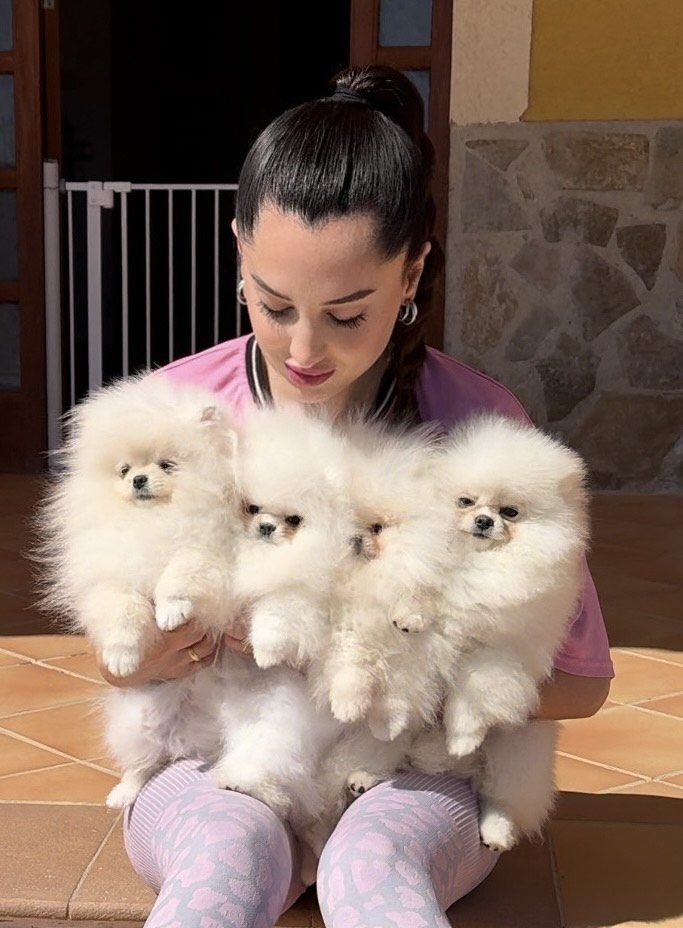 Lola con cuatro Pomerania blancos en brazos